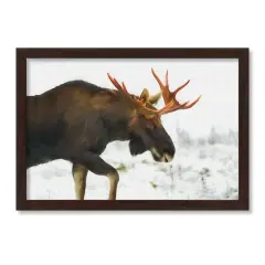 Moose in The Snow Black Framed Print Under Plexiglass