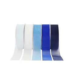 5 Color Sheer Value Pack Ribbon by Celebrate It&reg; Blue
