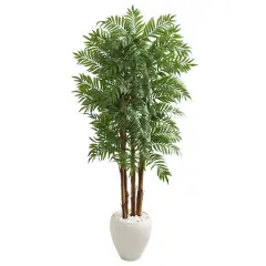 6ft. Parlor Palm Tree in White Planter