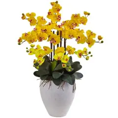 3ft. Moth Orchid Arrangement in White Planter Yellow
