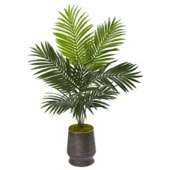 4ft. Kentia Palm Tree in Ribbed Metal Planter
