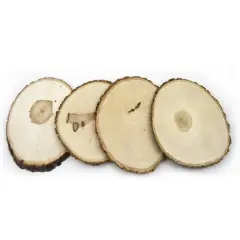 Wilson&reg; Enterprises 10 Pack X-Large Basswood Plaque