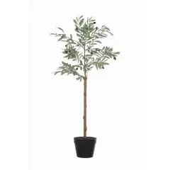 Hello Honey&reg; 3.5ft. Potted Olive Tree