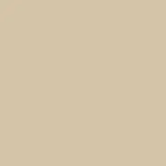 PA Paper&trade; Accents 12" x 12" Smooth 65lb. Cardstock, 1000 Sheets Khaki