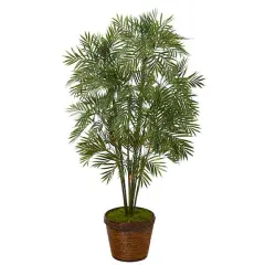 3.8ft. Parlor Palm Tree in Coiled Rope Planter