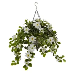 3ft. Poinsettia & Variegated Holly Plant in Metal Hanging Bowl