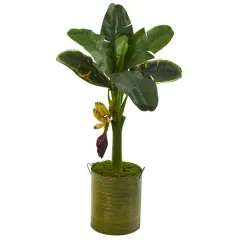 3ft. Banana Tree in Green Planter