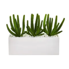 9" Finger Cactus Plant in White Vase