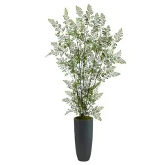 5ft. Ruffle Fern Tree in Gray Planter
