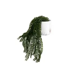 $product['description']['title']}