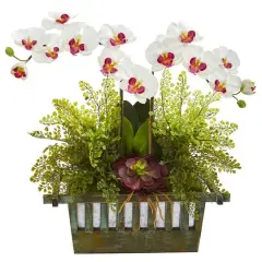 23" White Orchid & Succulent Arrangement in Wooden Planter