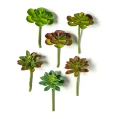 Assorted 5" Succulent Pick by Ashland&reg;, 1pc.