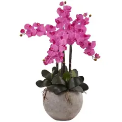 3ft. Moth Orchid Arrangement in Sand Colored Bowl Dark Pink