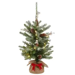 2ft. Pre-Lit Snowy Morgan Spruce Artificial Christmas Tree, Warm White LED Lights