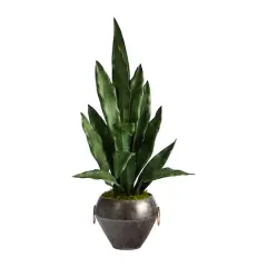 2.5ft. Snake Plant in Decorative Metal Bowl