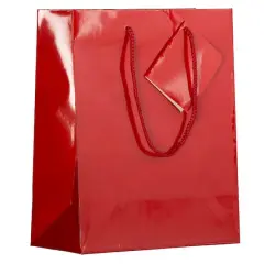 JAM Paper Medium Glossy Gift Bags, 6ct. Red