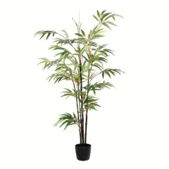 4ft. Potted Black Japanese Bamboo Tree