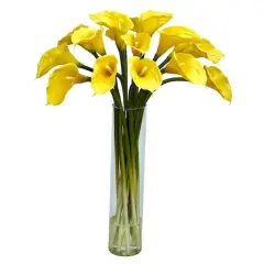 2ft. Yellow Calla Lily in Cylinder Vase