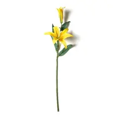 Casablanca Lily Stem by Ashland&reg; Yellow