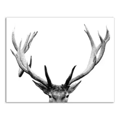 Deer Antlers 11" x 14" Canvas Wall Art