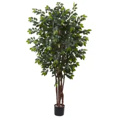 7ft. Potted Sakaki Silk Tree