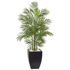 4.5ft. UV Resistant Areca Palm Tree with Black Wash Planter