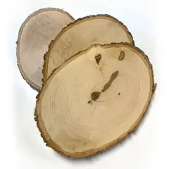 Wilson&reg; Enterprises Large/X-Large Basswood Plaques, 15ct.