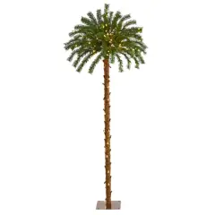 5ft. Pre-Lit Palm Artificial Christmas Tree, Warm White LED Lights