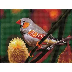 Diamond Dotz&reg; Intermediate Gouldian Finch Diamond Painting Kit