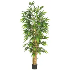 6ft. Potted Belly Bamboo Tree