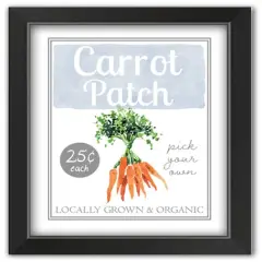 Carrot Patch Sign 4 11" x 14" Black Framed Print Under Plexiglass