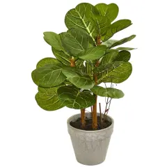 22" Fiddle Leaf in Stone Planter