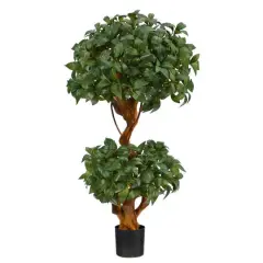 3ft. Potted Bay Laurel Double Ball Topiary Tree