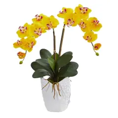 23" Double Phalaenopsis Orchid Arrangement in White Ceramic Vase Yellow