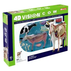 4D Vision&trade; Cow Anatomy Model