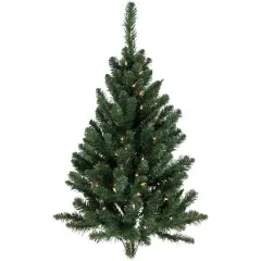 3ft. Pre-Lit Buffalo Fir Artificial Christmas Wall or Door Tree, Clear Dura Lights