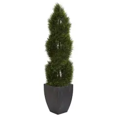 5ft. UV Resistant Double Pond Cypress Spiral Topiary Artificial Tree in Black Wash Planter