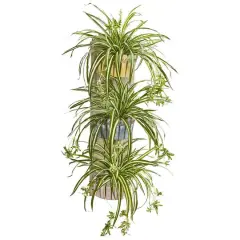 3.5ft. Spider Plant in Three-Tiered Wall Planter