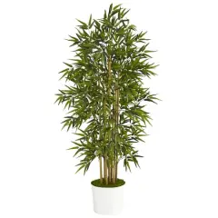5.3ft. Bamboo Tree in White Tin Planter