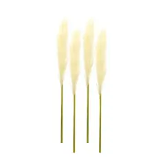 Cream Pampas Spray, 4ct.