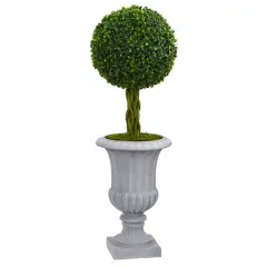 3ft. Braided Boxwood Topiary Tree in Gray Urn