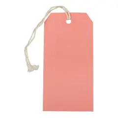 JAM Paper Medium Gift Tags with String Pink