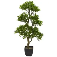 3ft. Potted Plum Pine Bonsai Styled Tree