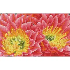 Diamond Dotz&reg; Intermediate Desert Blooms Pre-Framed Diamond Painting Kit