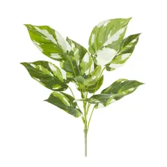 Green & White Pothos Bush by Ashland&reg;