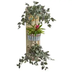 3.5ft. Bromeliad & Inchplant in Three-Tiered Wall Planter