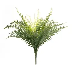 22.5" Mixed Fern Foliage Bushes, 2ct.