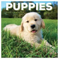 TF Publishing 2025 Puppies Mini Calendar