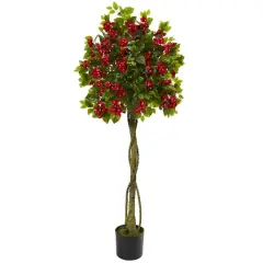 5ft. Potted Bougainvillea Topiary Tree