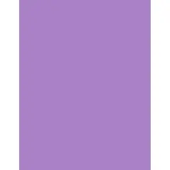 PA Paper&trade; Accents 8.5" x 11" 65lb. Smooth Cardstock, 1000 Sheets Violet